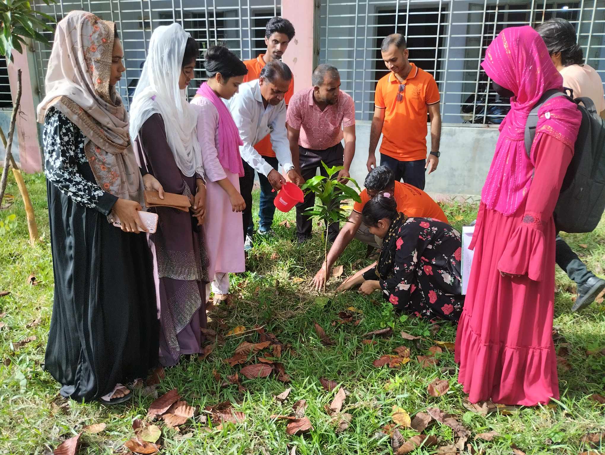 Tree Plantation Program in Sahosh Noakati High School, Dumuria, Khulna